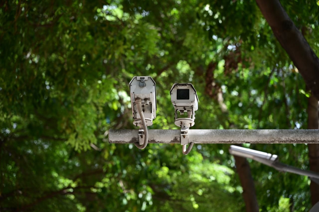 Outdoor security cameras mounted on a pole against lush green foliage.